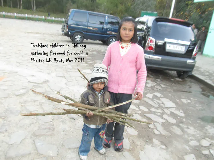 2011-11-20_at_Shillong_Meghalaya_kids_gathered_firewood_for_cooking.JPG